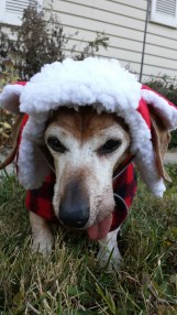 20141109_151303_resized